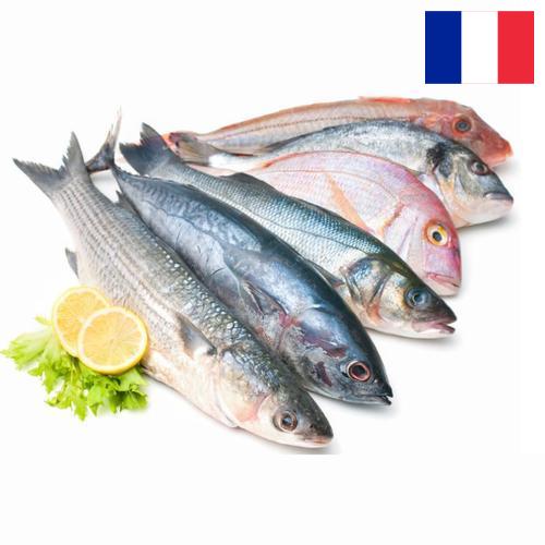 Морепродукты из Франции