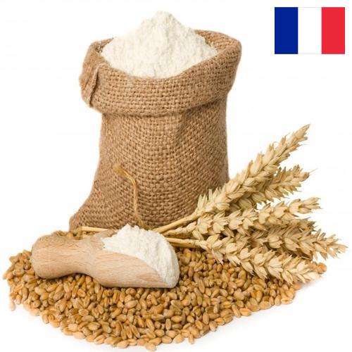 мука пшеничная хлебопекарная высший сорт из Франции