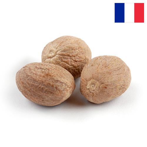 Мускатный орех из Франции