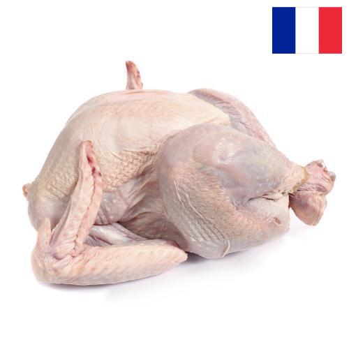 Мясо индейки из Франции
