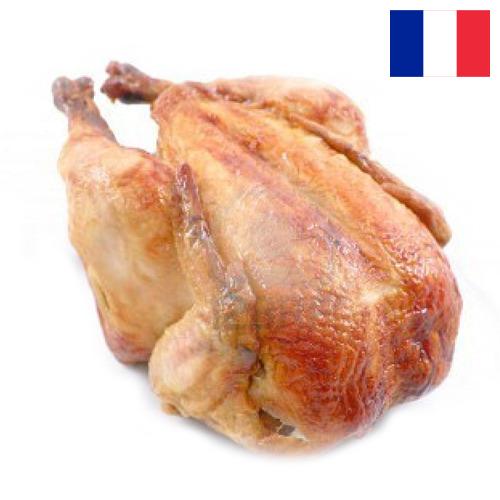 мясо куриное из Франции