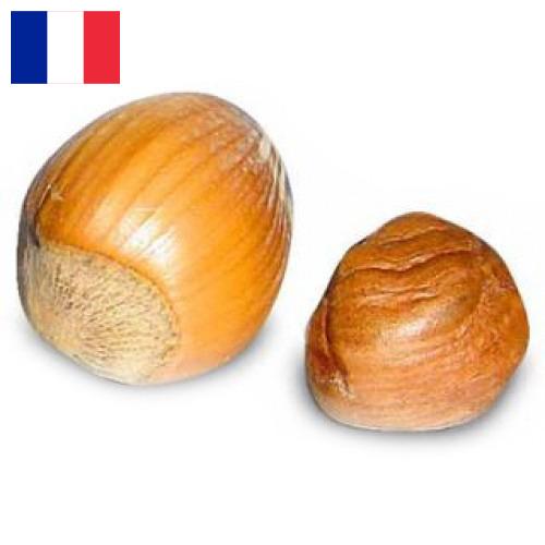 орех фундук из Франции