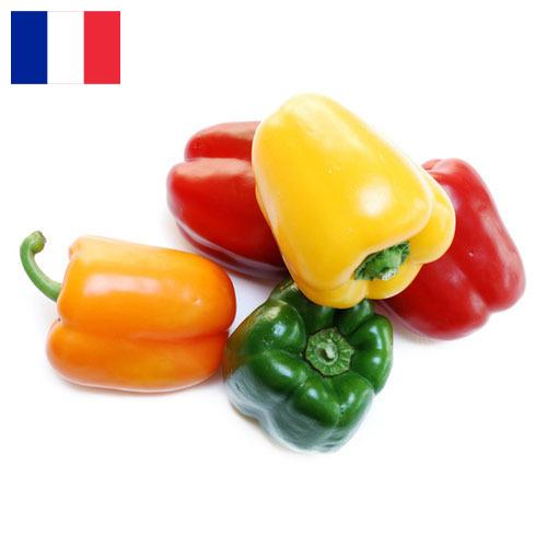 перец болгарский свежий из Франции
