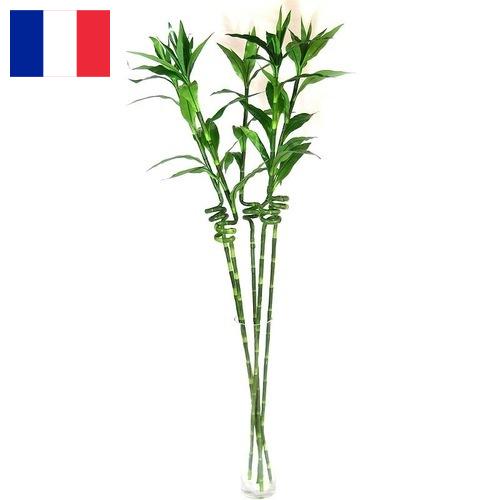 Растения искусственные из Франции