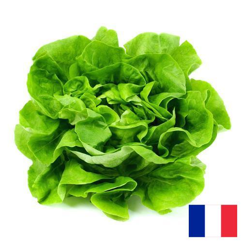 салат из Франции
