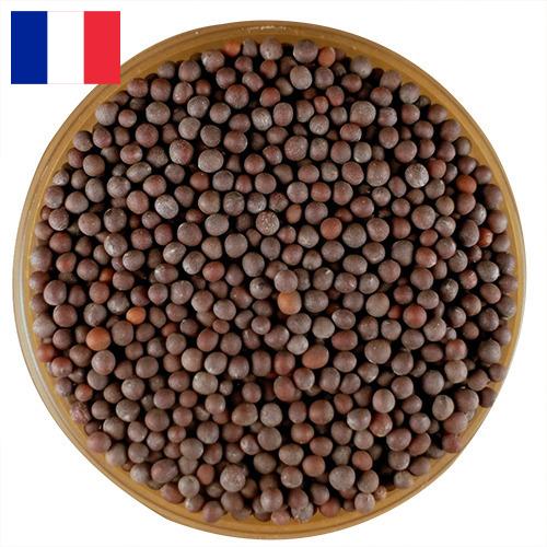 семена горчица из Франции