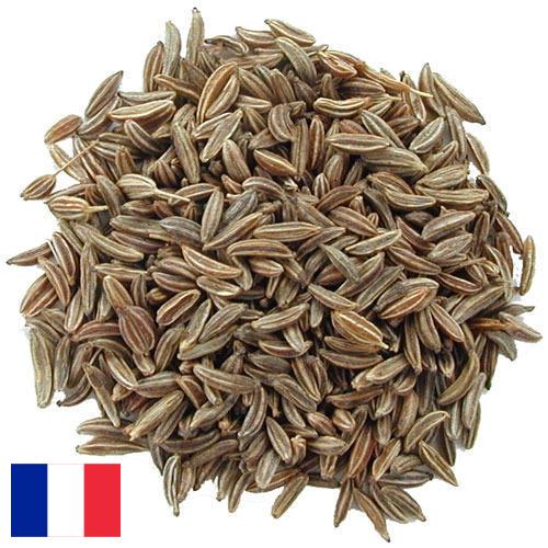 Семена тмина из Франции