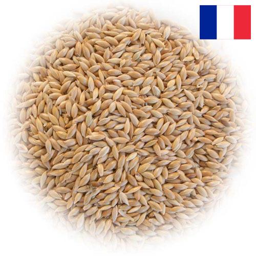 семена трав из Франции