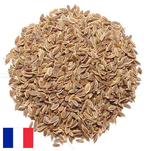 Семена укропа из Франции