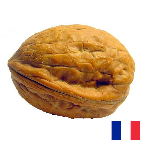 Скорлупа грецкого ореха из Франции