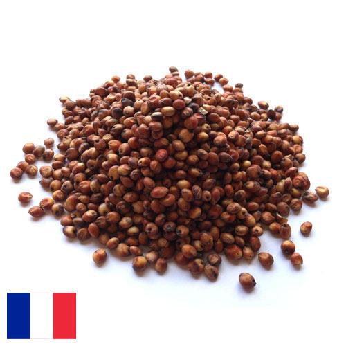 Сорго из Франции