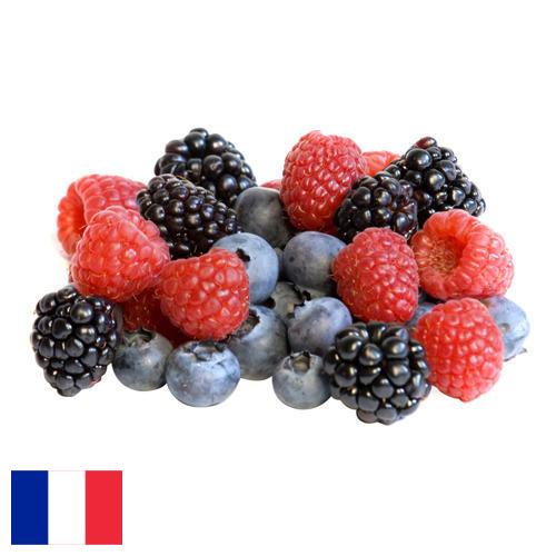 сублимированные ягоды из Франции