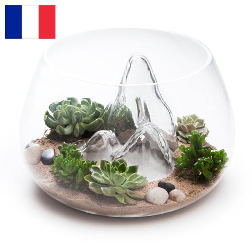 Террариумы из Франции
