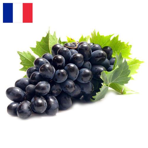 Виноград из Франции