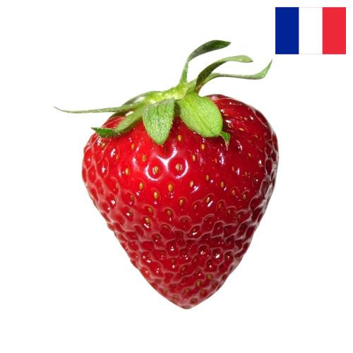 Земляника из Франции