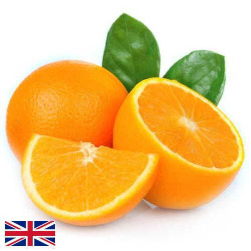апельсины свежие из Великобритании