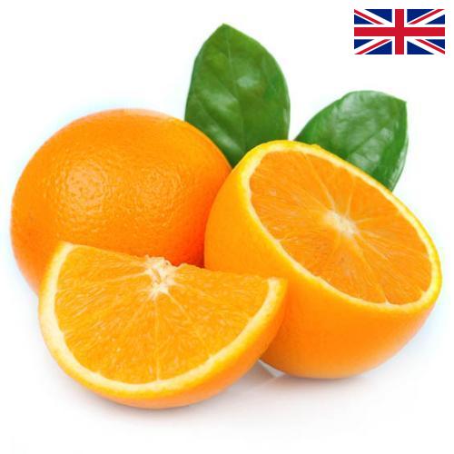 Апельсины из Великобритании