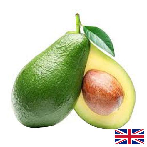 Авокадо из Великобритании