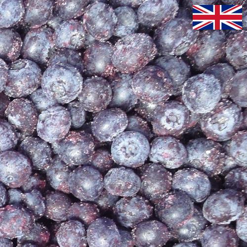 черника замороженная из Великобритании
