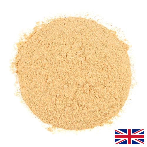 чеснок порошок из Великобритании