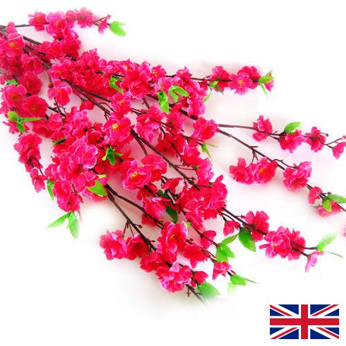 Цветы искусственные из Великобритании