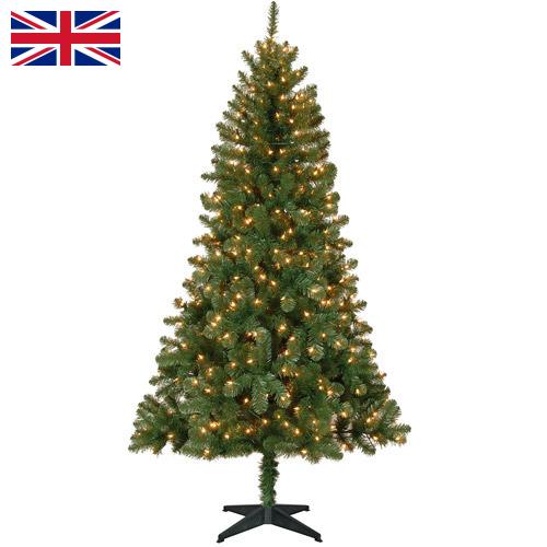 Елки новогодние из Великобритании