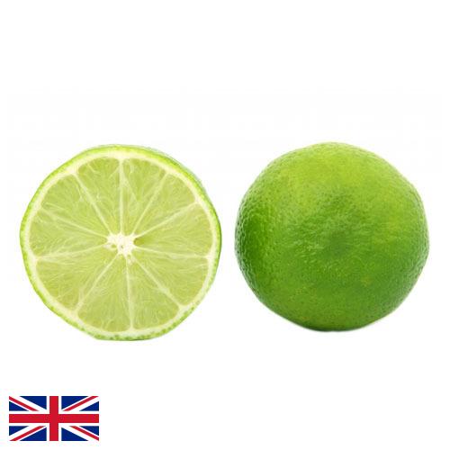 Известь из Великобритании