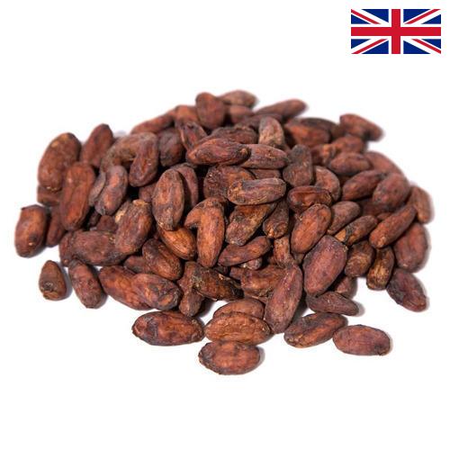 какао-бобы из Великобритании