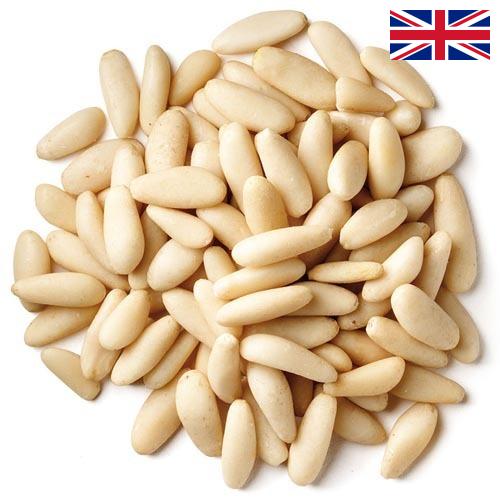 Кедровые орехи из Великобритании