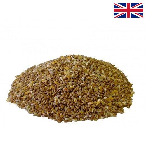 Корма для птицеводства из Великобритании