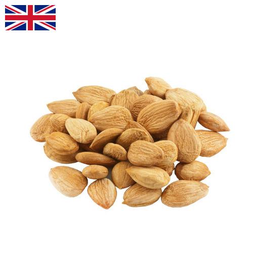 косточки абрикоса из Великобритании