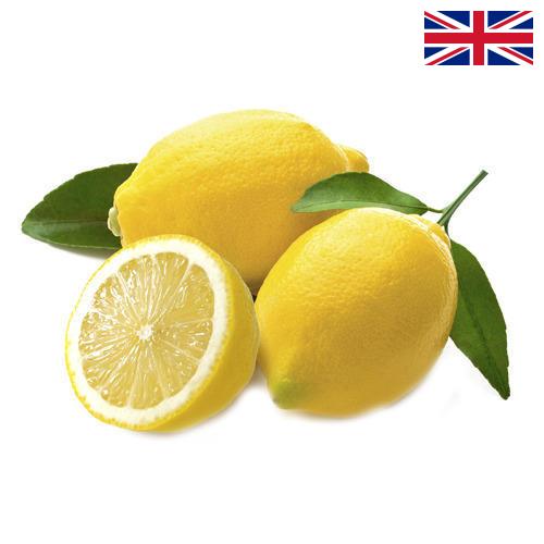 лимон свежий из Великобритании