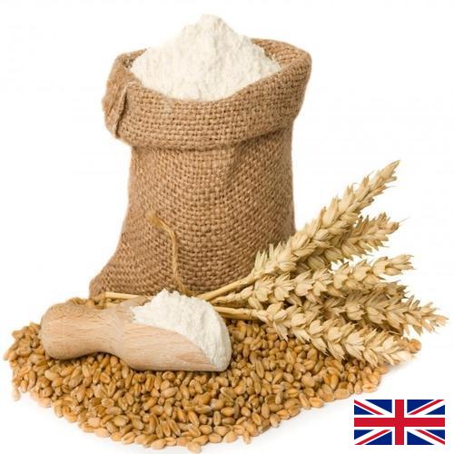 мука пшеничная первый сорт из Великобритании