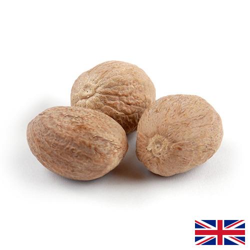Мускатный орех из Великобритании