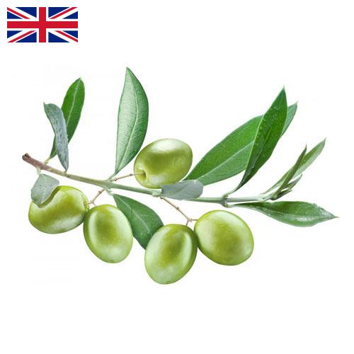 Оливки из Великобритании