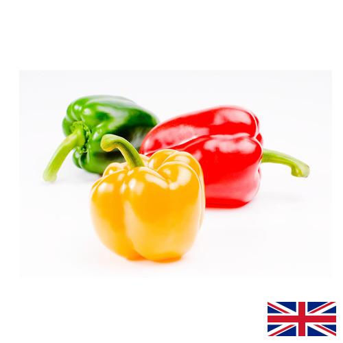 Перец сладкий из Великобритании