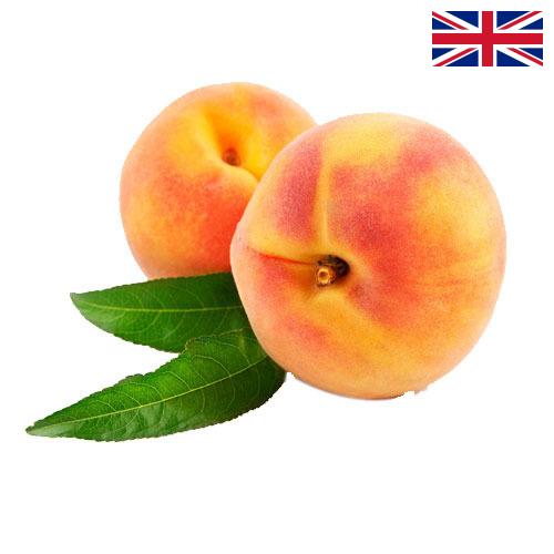 Персики из Великобритании