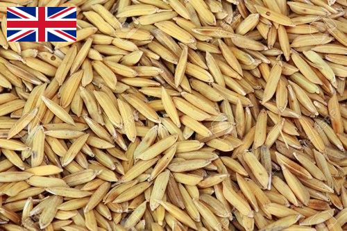 рис сырец из Великобритании