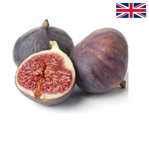 Рис из Великобритании