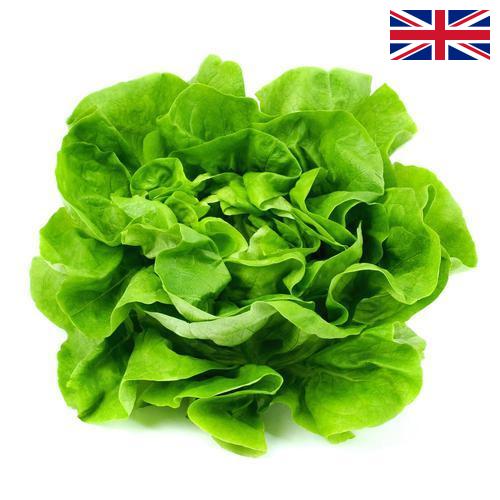 салат из Великобритании