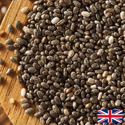 Семена чиа из Великобритании