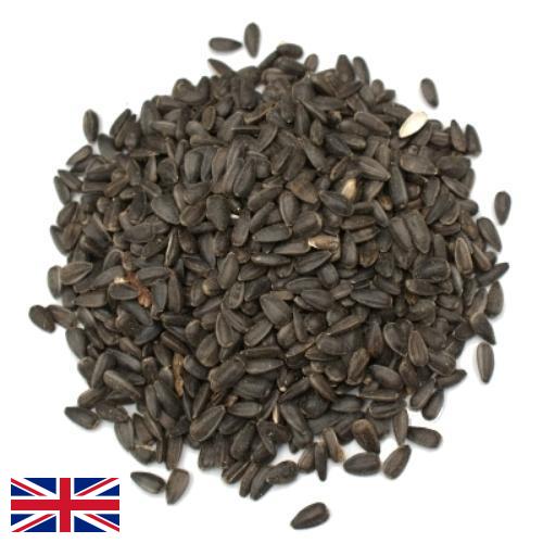 Семена цветов из Великобритании