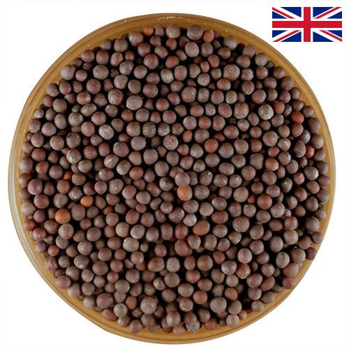 семена горчица из Великобритании