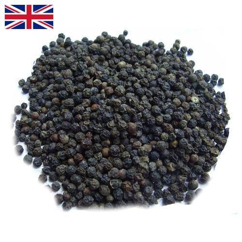 Семена перца из Великобритании