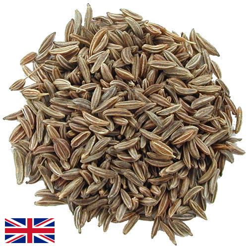 Семена тмина из Великобритании