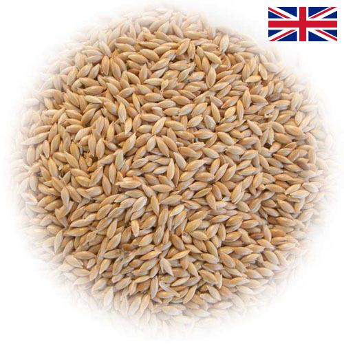 семена трав из Великобритании