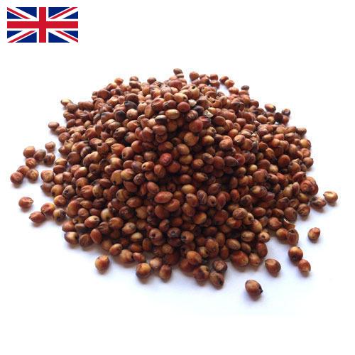 Сорго из Великобритании