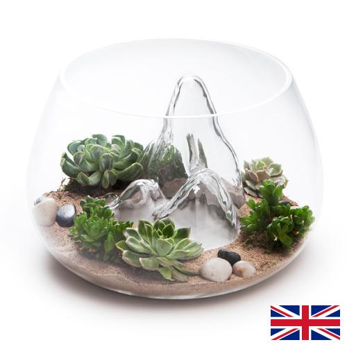 Террариумы из Великобритании