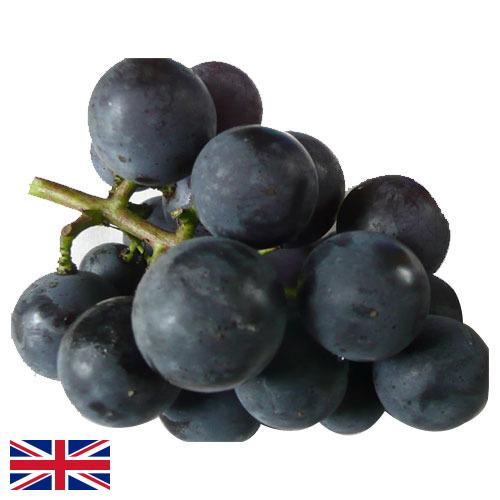виноград столовый из Великобритании