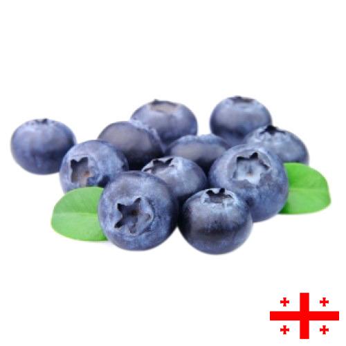 Черника из Грузии